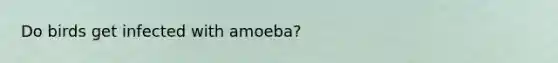 Do birds get infected with amoeba?