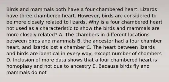 Birds and mammals both have a four-chambered heart. Lizards have three chambered heart. However, birds are considered to be more closely related to lizards. Why is a four chambered heart not used as a characteristic to show the birds and mammals are more closely related? A. The chambers in different locations between birds and mammals B. the ancestor had a four chamber heart, and lizards lost a chamber C. The heart between lizards and birds are identical in every way, except number of chambers D. Inclusion of more data shows that a four chambered heart is homoplasy and not due to ancestry E. Because birds fly and mammals do not