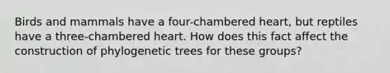 Birds and mammals have a four-chambered heart, but reptiles have a three-chambered heart. How does this fact affect the construction of phylogenetic trees for these groups?