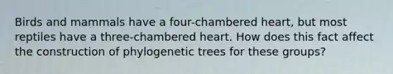 Birds and mammals have a four-chambered heart, but most reptiles have a three-chambered heart. How does this fact affect the construction of phylogenetic trees for these groups?