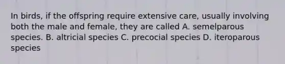 In birds, if the offspring require extensive care, usually involving both the male and female, they are called A. semelparous species. B. altricial species C. precocial species D. iteroparous species