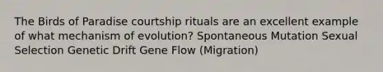 The Birds of Paradise courtship rituals are an excellent example of what mechanism of evolution? Spontaneous Mutation Sexual Selection Genetic Drift Gene Flow (Migration)