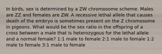 In birds, sex is determined by a ZW chromosome scheme. Males are ZZ and females are ZW. A recessive lethal allele that causes death of the embryo is sometimes present on the Z chromosome in pigeons. What would be the sex ratio in the offspring of a cross between a male that is heterozygous for the lethal allele and a normal female? 1:1 male to female 2:1 male to female 1:2 male to female 3:1 male to female