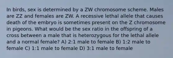 In birds, sex is determined by a ZW chromosome scheme. Males are ZZ and females are ZW. A recessive lethal allele that causes death of the embryo is sometimes present on the Z chromosome in pigeons. What would be the sex ratio in the offspring of a cross between a male that is heterozygous for the lethal allele and a normal female? A) 2:1 male to female B) 1:2 male to female C) 1:1 male to female D) 3:1 male to female