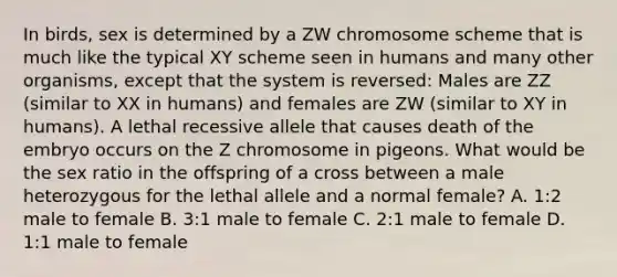 In birds, sex is determined by a ZW chromosome scheme that is much like the typical XY scheme seen in humans and many other organisms, except that the system is reversed: Males are ZZ (similar to XX in humans) and females are ZW (similar to XY in humans). A lethal recessive allele that causes death of the embryo occurs on the Z chromosome in pigeons. What would be the sex ratio in the offspring of a cross between a male heterozygous for the lethal allele and a normal female? A. 1:2 male to female B. 3:1 male to female C. 2:1 male to female D. 1:1 male to female