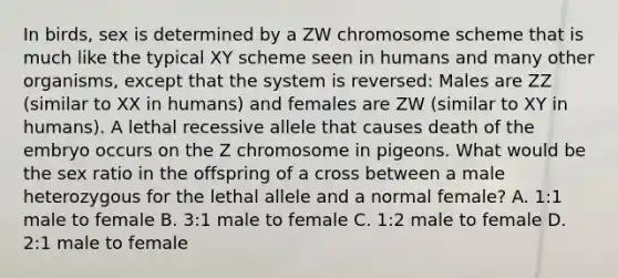 In birds, sex is determined by a ZW chromosome scheme that is much like the typical XY scheme seen in humans and many other organisms, except that the system is reversed: Males are ZZ (similar to XX in humans) and females are ZW (similar to XY in humans). A lethal recessive allele that causes death of the embryo occurs on the Z chromosome in pigeons. What would be the sex ratio in the offspring of a cross between a male heterozygous for the lethal allele and a normal female? A. 1:1 male to female B. 3:1 male to female C. 1:2 male to female D. 2:1 male to female