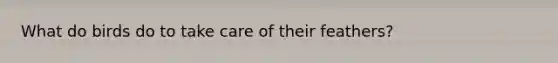 What do birds do to take care of their feathers?