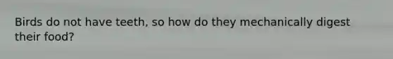 Birds do not have teeth, so how do they mechanically digest their food?