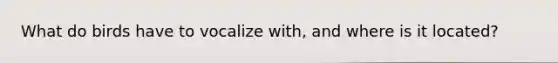 What do birds have to vocalize with, and where is it located?
