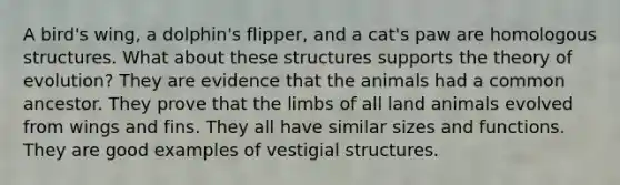 A bird's wing, a dolphin's flipper, and a cat's paw are homologous structures. What about these structures supports the theory of evolution? They are evidence that the animals had a common ancestor. They prove that the limbs of all land animals evolved from wings and fins. They all have similar sizes and functions. They are good examples of vestigial structures.