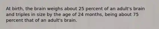 At birth, the brain weighs about 25 percent of an adult's brain and triples in size by the age of 24 months, being about 75 percent that of an adult's brain.