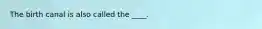 The birth canal is also called the ____.