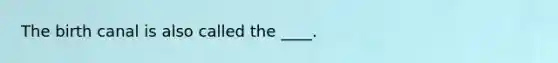 The birth canal is also called the ____.