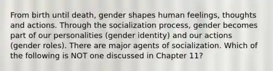 From birth until death, gender shapes human feelings, thoughts and actions. Through the socialization process, gender becomes part of our personalities (gender identity) and our actions (gender roles). There are major agents of socialization. Which of the following is NOT one discussed in Chapter 11?