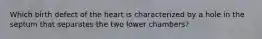 Which birth defect of the heart is characterized by a hole in the septum that separates the two lower chambers?