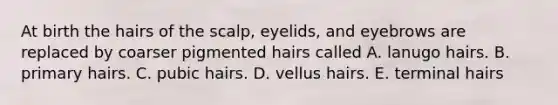 At birth the hairs of the scalp, eyelids, and eyebrows are replaced by coarser pigmented hairs called A. lanugo hairs. B. primary hairs. C. pubic hairs. D. vellus hairs. E. terminal hairs