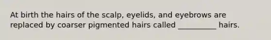 At birth the hairs of the scalp, eyelids, and eyebrows are replaced by coarser pigmented hairs called __________ hairs.