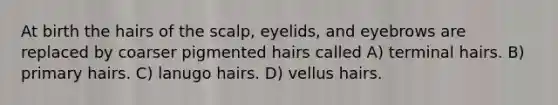 At birth the hairs of the scalp, eyelids, and eyebrows are replaced by coarser pigmented hairs called A) terminal hairs. B) primary hairs. C) lanugo hairs. D) vellus hairs.