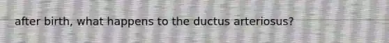 after birth, what happens to the ductus arteriosus?