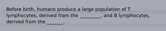 Before birth, humans produce a large population of T lymphocytes, derived from the _________, and B lymphocytes, derived from the _______.