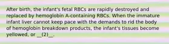 After birth, the infant's fetal RBCs are rapidly destroyed and replaced by hemoglobin A-containing RBCs. When the immature infant liver cannot keep pace with the demands to rid the body of hemoglobin breakdown products, the infant's tissues become yellowed, or __(2)__.