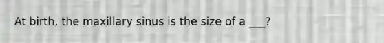 At birth, the maxillary sinus is the size of a ___?