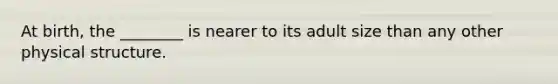 At birth, the ________ is nearer to its adult size than any other physical structure.