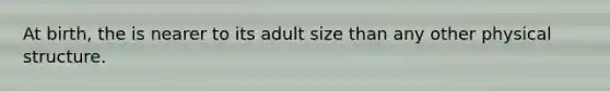 At birth, the is nearer to its adult size than any other physical structure.