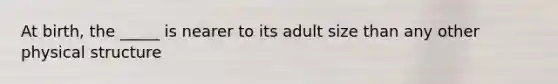 At birth, the _____ is nearer to its adult size than any other physical structure