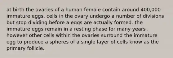 at birth the ovaries of a human female contain around 400,000 immature eggs. cells in the ovary undergo a number of divisions but stop dividing before a eggs are actually formed. the immature eggs remain in a resting phase for many years . however other cells within the ovaries surround the immature egg to produce a spheres of a single layer of cells know as the primary follicle.