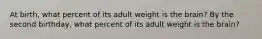 At birth, what percent of its adult weight is the brain? By the second birthday, what percent of its adult weight is the brain?