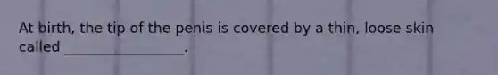 At birth, the tip of the penis is covered by a thin, loose skin called _________________.