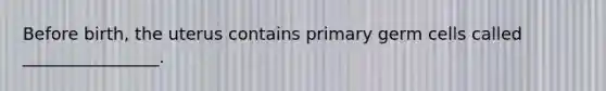 Before birth, the uterus contains primary germ cells called ________________.