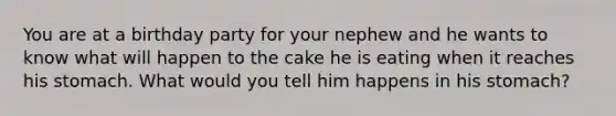 You are at a birthday party for your nephew and he wants to know what will happen to the cake he is eating when it reaches his stomach. What would you tell him happens in his stomach?