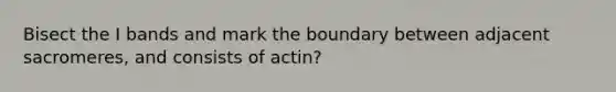 Bisect the I bands and mark the boundary between adjacent sacromeres, and consists of actin?