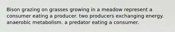 Bison grazing on grasses growing in a meadow represent a consumer eating a producer. two producers exchanging energy. anaerobic metabolism. a predator eating a consumer.