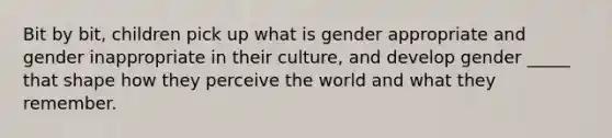 Bit by bit, children pick up what is gender appropriate and gender inappropriate in their culture, and develop gender _____ that shape how they perceive the world and what they remember.