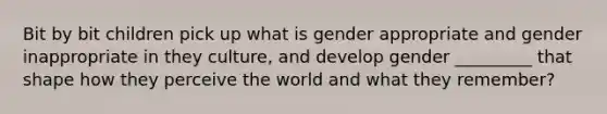 Bit by bit children pick up what is gender appropriate and gender inappropriate in they culture, and develop gender _________ that shape how they perceive the world and what they remember?