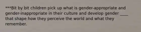 ***Bit by bit children pick up what is gender-appropriate and gender-inappropriate in their culture and develop gender ____ that shape how they perceive the world and what they remember.