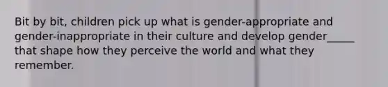 Bit by bit, children pick up what is gender-appropriate and gender-inappropriate in their culture and develop gender_____ that shape how they perceive the world and what they remember.