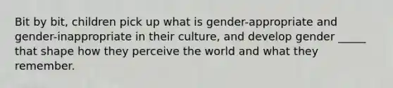 Bit by bit, children pick up what is gender-appropriate and gender-inappropriate in their culture, and develop gender _____ that shape how they perceive the world and what they remember.