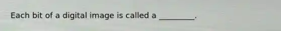 Each bit of a digital image is called a _________.