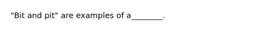 "Bit and pit" are examples of a________.