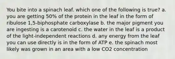 You bite into a spinach leaf. which one of the following is true? a. you are getting 50% of the protein in the leaf in the form of ribulose 1,5-biphosphate carboxylase b. the major pigment you are ingesting is a carotenoid c. the water in the leaf is a product of the light-independent reactions d. any energy from the leaf you can use directly is in the form of ATP e. the spinach most likely was grown in an area with a low CO2 concentration