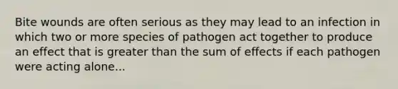 Bite wounds are often serious as they may lead to an infection in which two or more species of pathogen act together to produce an effect that is greater than the sum of effects if each pathogen were acting alone...