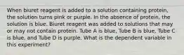 When biuret reagent is added to a solution containing protein, the solution turns pink or purple. In the absence of protein, the solution is blue. Biuret reagent was added to solutions that may or may not contain protein. Tube A is blue, Tube B is blue, Tube C is blue, and Tube D is purple. What is the dependent variable in this experiment?