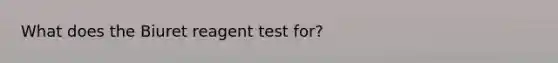 What does the Biuret reagent test for?