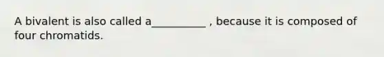 A bivalent is also called a__________ , because it is composed of four chromatids.