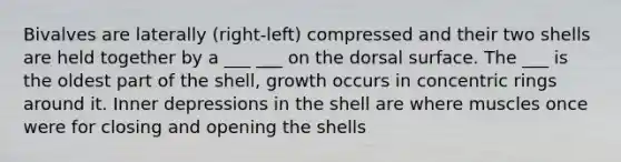 Bivalves are laterally (right-left) compressed and their two shells are held together by a ___ ___ on the dorsal surface. The ___ is the oldest part of the shell, growth occurs in concentric rings around it. Inner depressions in the shell are where muscles once were for closing and opening the shells