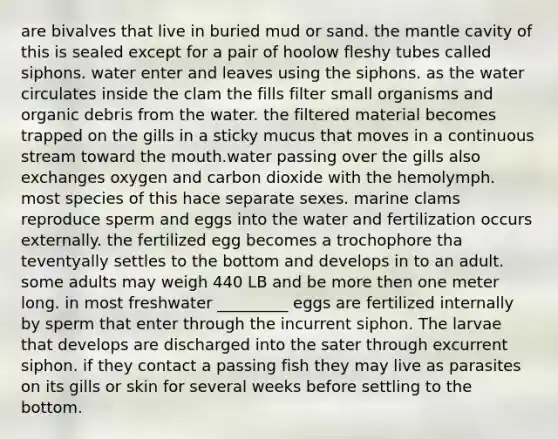 are bivalves that live in buried mud or sand. the mantle cavity of this is sealed except for a pair of hoolow fleshy tubes called siphons. water enter and leaves using the siphons. as the water circulates inside the clam the fills filter small organisms and organic debris from the water. the filtered material becomes trapped on the gills in a sticky mucus that moves in a continuous stream toward the mouth.water passing over the gills also exchanges oxygen and carbon dioxide with the hemolymph. most species of this hace separate sexes. marine clams reproduce sperm and eggs into the water and fertilization occurs externally. the fertilized egg becomes a trochophore tha teventyally settles to the bottom and develops in to an adult. some adults may weigh 440 LB and be more then one meter long. in most freshwater _________ eggs are fertilized internally by sperm that enter through the incurrent siphon. The larvae that develops are discharged into the sater through excurrent siphon. if they contact a passing fish they may live as parasites on its gills or skin for several weeks before settling to the bottom.